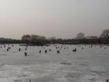 [Cliquez pour agrandir : 58 Kio] Pékin - Le lac Qianhai, gelé : patineurs.