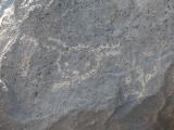 [Cliquez pour agrandir : 111 Kio] Albuquerque - Petroglyph National Monument: petroglyph.