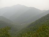 [Cliquez pour agrandir : 57 Kio] Liyang - L'océan de bambous : vue depuis l'abri proche du sommet.