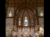 [Cliquez pour agrandir : 76 Kio] Dallas - The cathedral of Our Lady of Guadalupe: the nave.