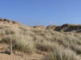 [Cliquez pour agrandir : 110 Kio] Nord-Pas-de-Calais - La Côte d'Opale : les dunes.