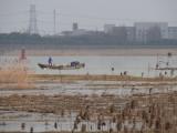 [Cliquez pour agrandir : 81 Kio] Shanghai - Le parc Wusong : le fleuve Huang.