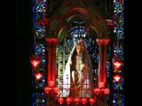 [Cliquez pour agrandir : 109 Kio] Lille - La cathédrale Notre Dame de la Treille : la chapelle de Notre-Dame-de-la-Treille : la statue.