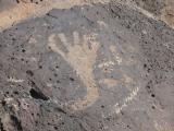 [Cliquez pour agrandir : 135 Kio] Albuquerque - Petroglyph National Monument: petroglyph.
