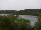 [Cliquez pour agrandir : 85 Kio] Anglet - Le parc Izadia : vue générale.