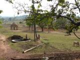 [Cliquez pour agrandir : 212 Kio] Ekamba-Damgara-Bartoli - Paysans et vaches près du puits.