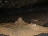 [Cliquez pour agrandir : 62 Kio] La Teste-de-Buch - La dune du Pyla : stalactites au pied de la dune.