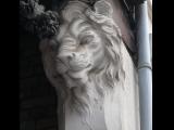 [Cliquez pour agrandir : 61 Kio] Tourcoing - La maison du Broutteux : tête de lion.