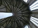 [Cliquez pour agrandir : 99 Kio] Toulouse - Le couvent des Jacobins : l'église : le palmier des Jacobins.