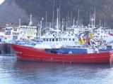 [Cliquez pour agrandir : 121 Kio] Guetaria - Le port : bateaux de pêche.