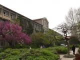 [Cliquez pour agrandir : 118 Kio] Xi'an - L'Université Jiaotong : le bâtiment historique.