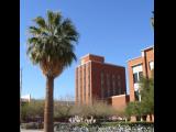 [Cliquez pour agrandir : 101 Kio] Tucson - The University of Arizona: campus.
