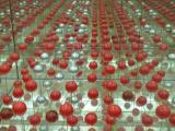 [Cliquez pour agrandir : 105 Kio] Bruxelles - L'atomium : structure périodique créée par effet de miroirs.