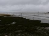 [Cliquez pour agrandir : 58 Kio] Arcachon - Le bassin : prés salés.