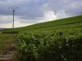 [Cliquez pour agrandir : 76 Kio] Rouvres-les-Vignes - Vignes.