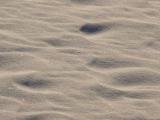 [Cliquez pour agrandir : 119 Kio] White Sands - Dunes at sunrise.