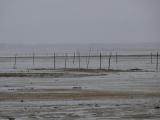 [Cliquez pour agrandir : 58 Kio] Arcachon - Le bassin.