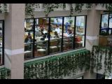 [Cliquez pour agrandir : 99 Kio] Shanghai - La bibliothèque municipale : l'intérieur.