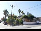 [Cliquez pour agrandir : 117 Kio] Cabo San Lucas - Maisons et arbres dans une rue.