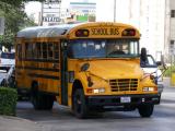 [Cliquez pour agrandir : 103 Kio] Austin - School bus.