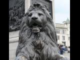 [Cliquez pour agrandir : 109 Kio] London - Trafalgar Square : a bronze lion.