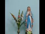 [Cliquez pour agrandir : 81 Kio] Ranchi - La cathédrale Sainte-Marie : statue de la Vierge.