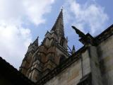 [Cliquez pour agrandir : 68 Kio] Bayonne - La cathédrale : flèche et gargouille.