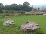 [Cliquez pour agrandir : 121 Kio] Baifeng - Environs du village.