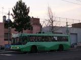 [Cliquez pour agrandir : 110 Kio] Mexico - Le trolley.