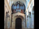 [Cliquez pour agrandir : 95 Kio] Versailles - La cathédrale Saint-Louis : la nef et l'orgue.