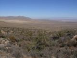 [Cliquez pour agrandir : 89 Kio] Organ Mountains - Aguirre Springs.